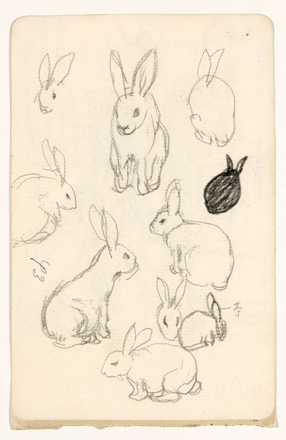 《うさぎ〈未知草カード〉第三より》