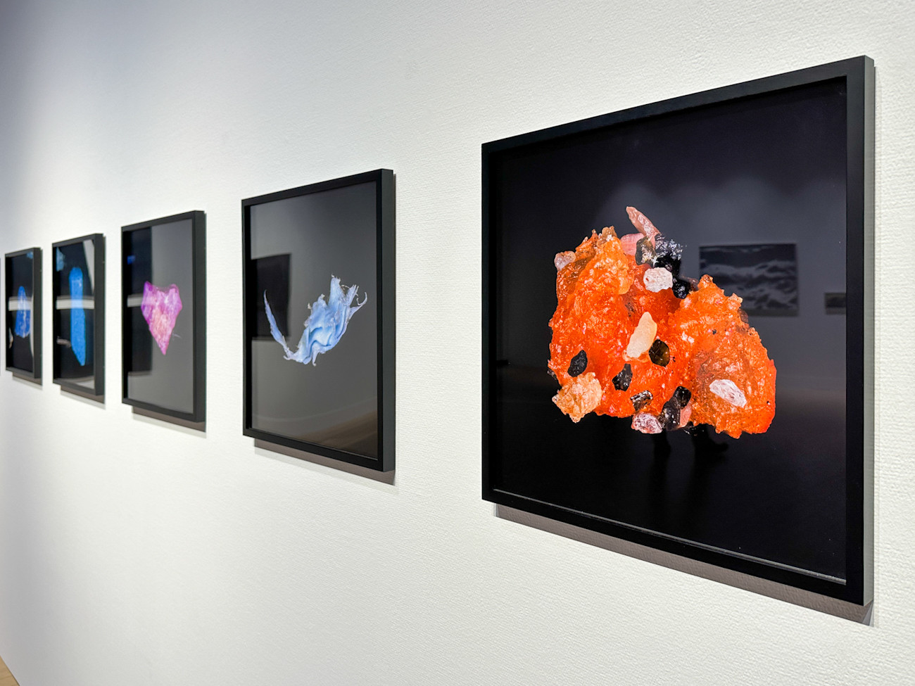 2022年のプリピクテジャパンアワードに、岩根愛氏 ニュース アイエム[インターネットミュージアム]