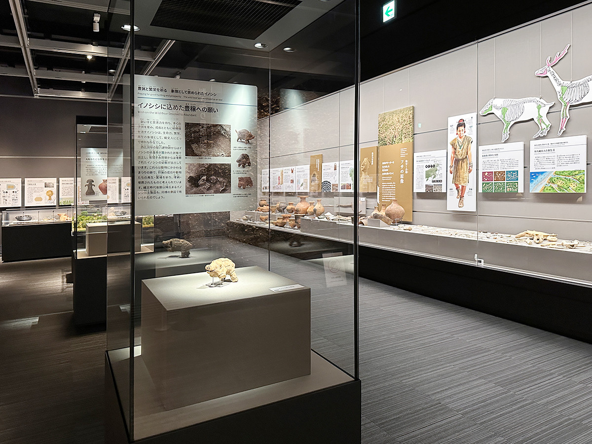 I’Museum Center（市原歴史博物館）がオープン レポート アイエム[インターネットミュージアム]