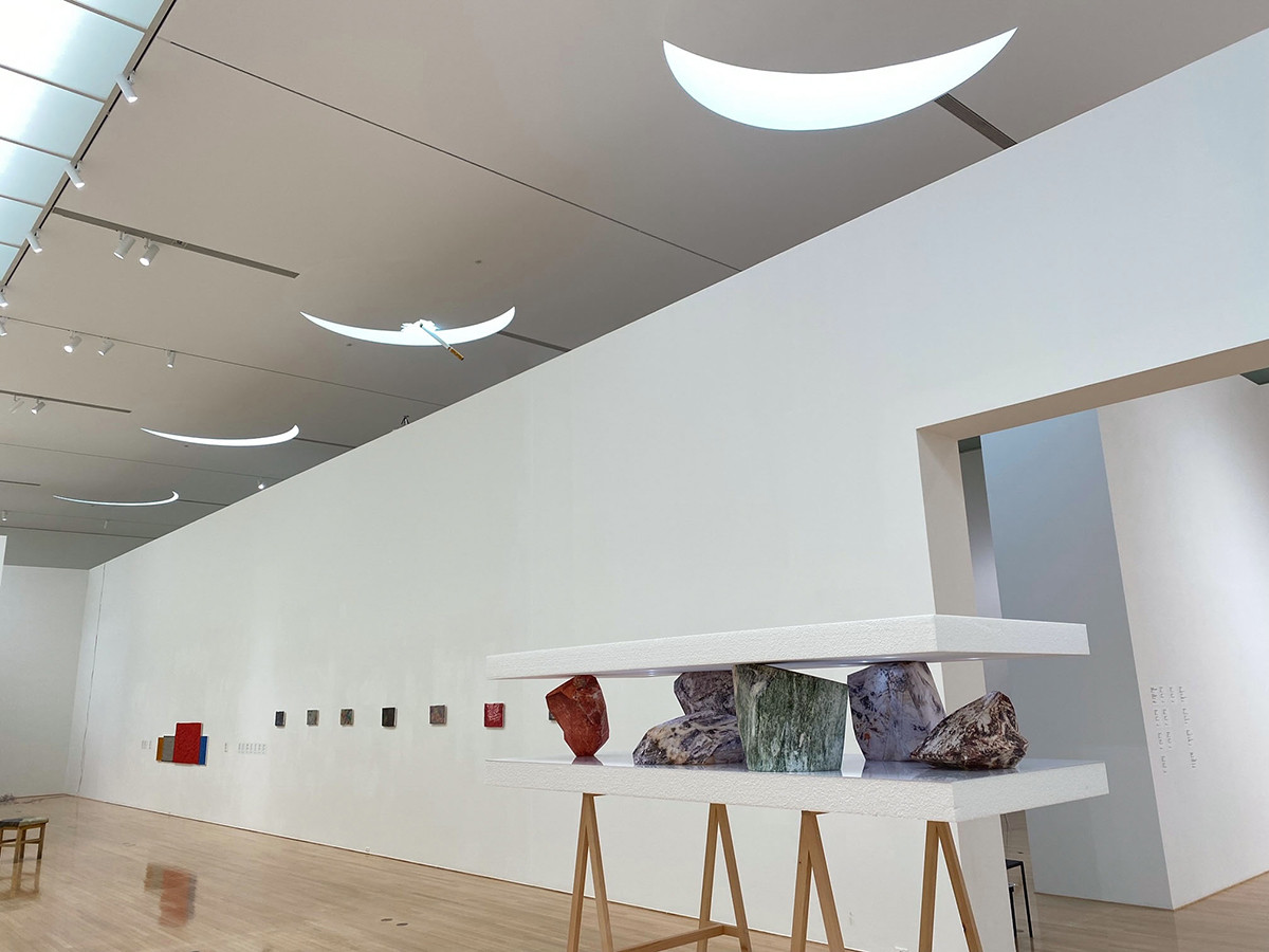 ネコをテーマにした現代アート展 ― 豊田市美術館「ねこのほそ道」