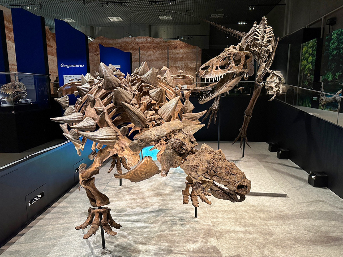 恐竜博2023 国立科学博物館 | bumblebeebight.ca