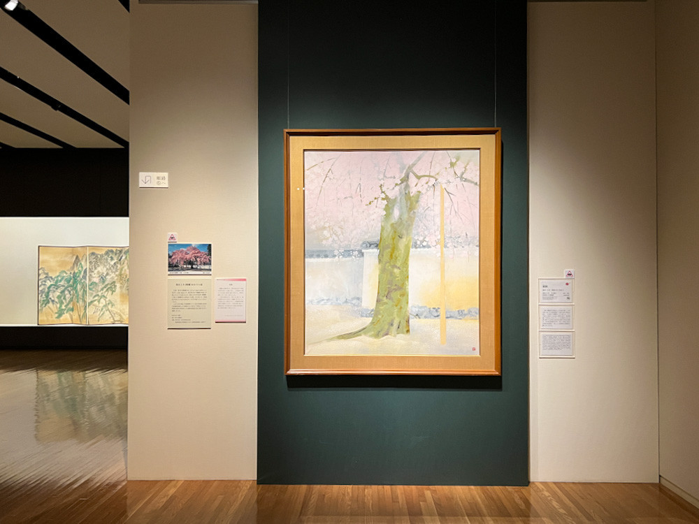 日本のシンボル、富士と桜を満喫 ― 山種美術館「富士と桜」展