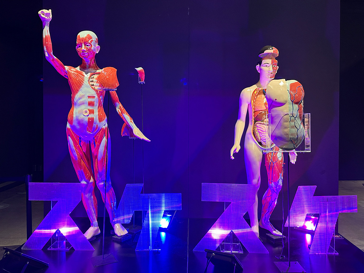 スケスケ展 in TOKYO