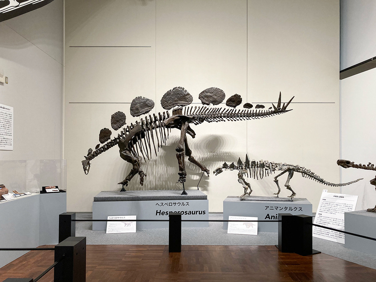 特別展「恐竜博2023」