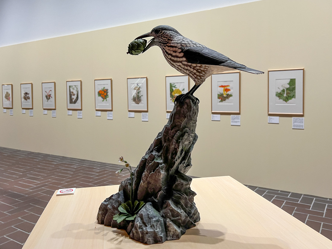いきものをテーマにした展覧会が開催 ─ 東京都美術館