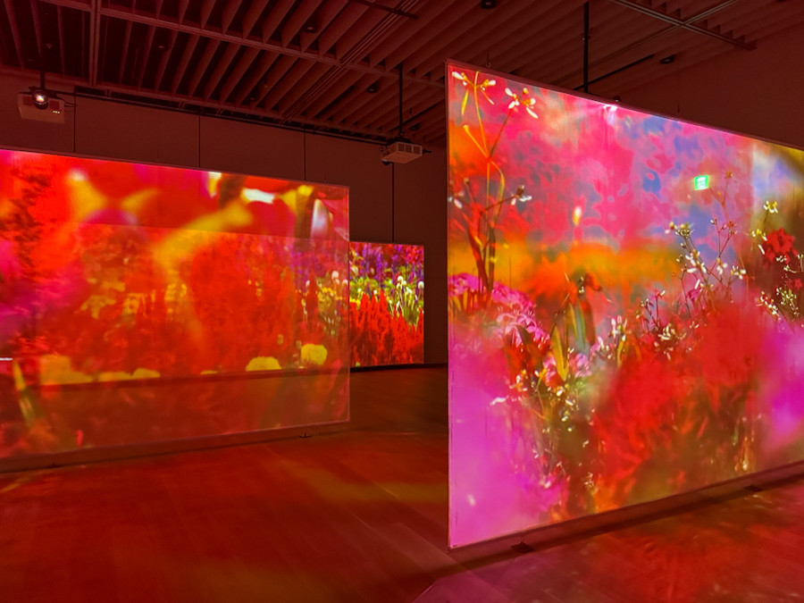 蜷川実花、全て新作の大規模展覧会 ─ TOKYO NODE