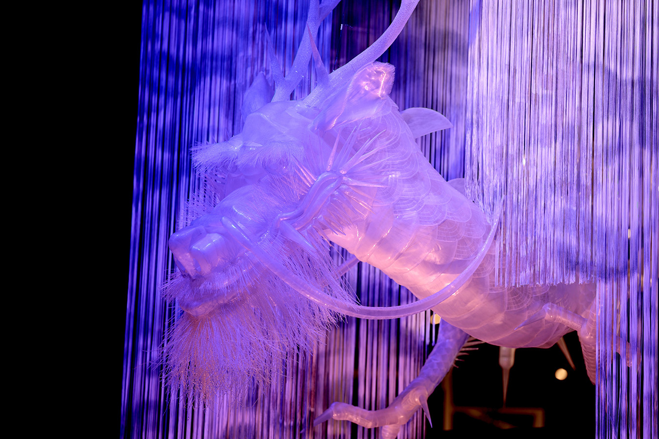 《近江に棲む龍》