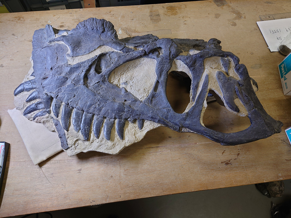 《ケラトサウルス》