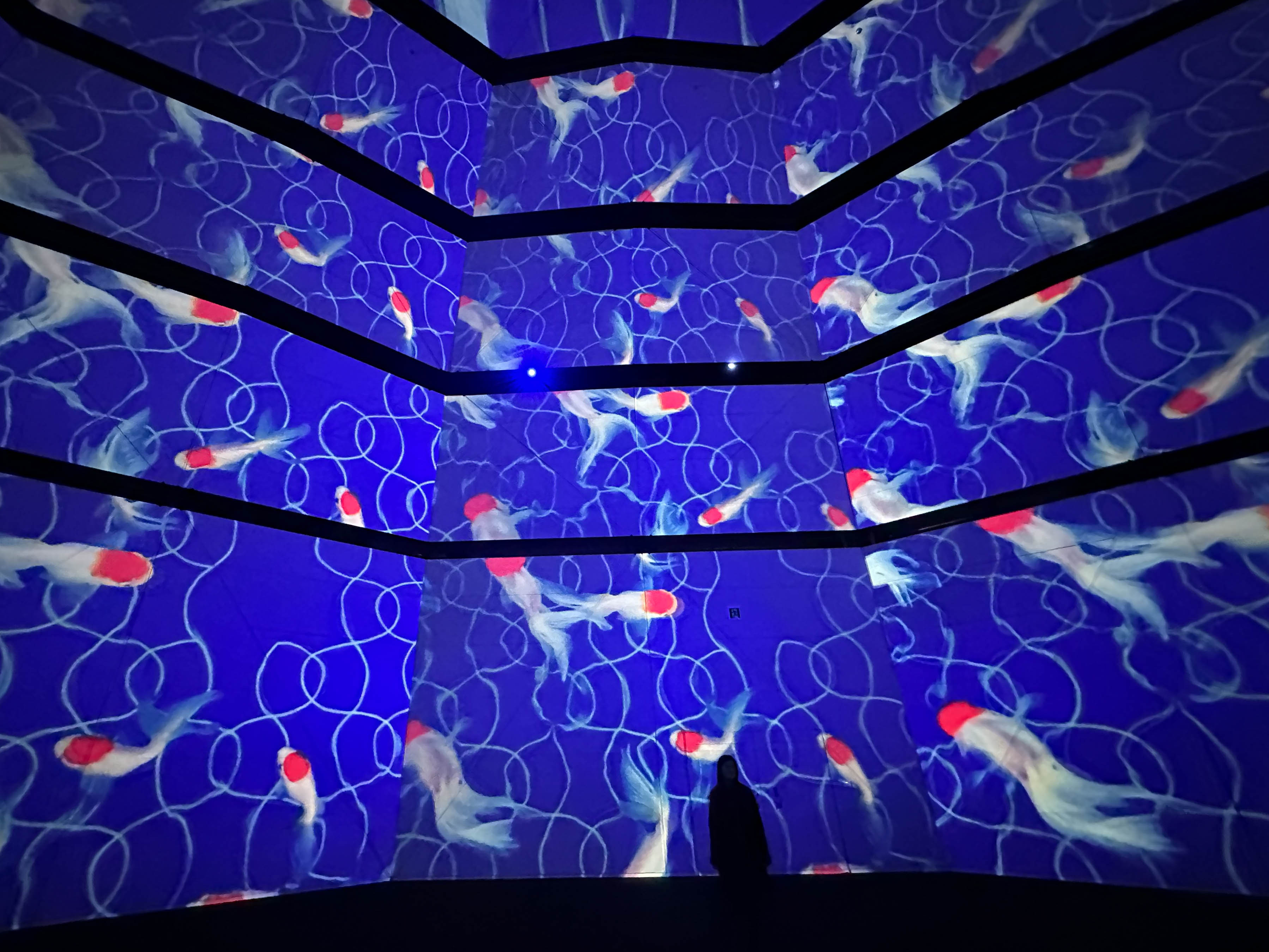 蜷川実花展 : Eternity in a Moment 瞬きの中の永遠