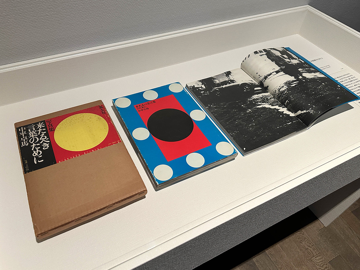 中平卓馬　火―氾濫