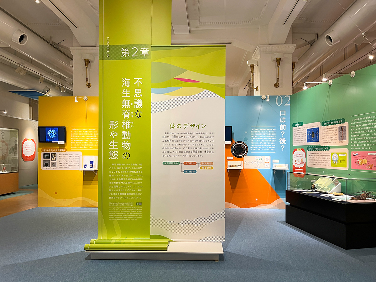 企画展「知られざる海生無脊椎動物の世界」 | レポート | アイエム[インターネットミュージアム]