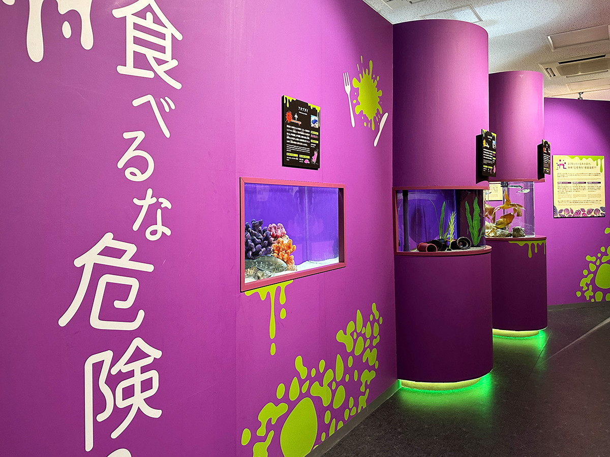 シリーズ最終章「もうどく展 極」が開催中 ― サンシャイン水族館 | ニュース | アイエム[インターネットミュージアム]