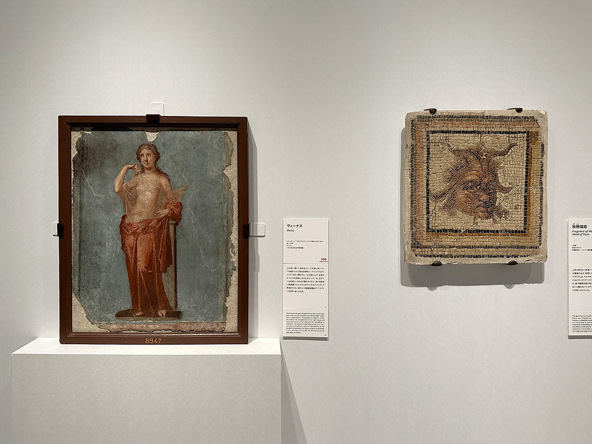 テルマエ展　お風呂でつながる古代ローマと日本