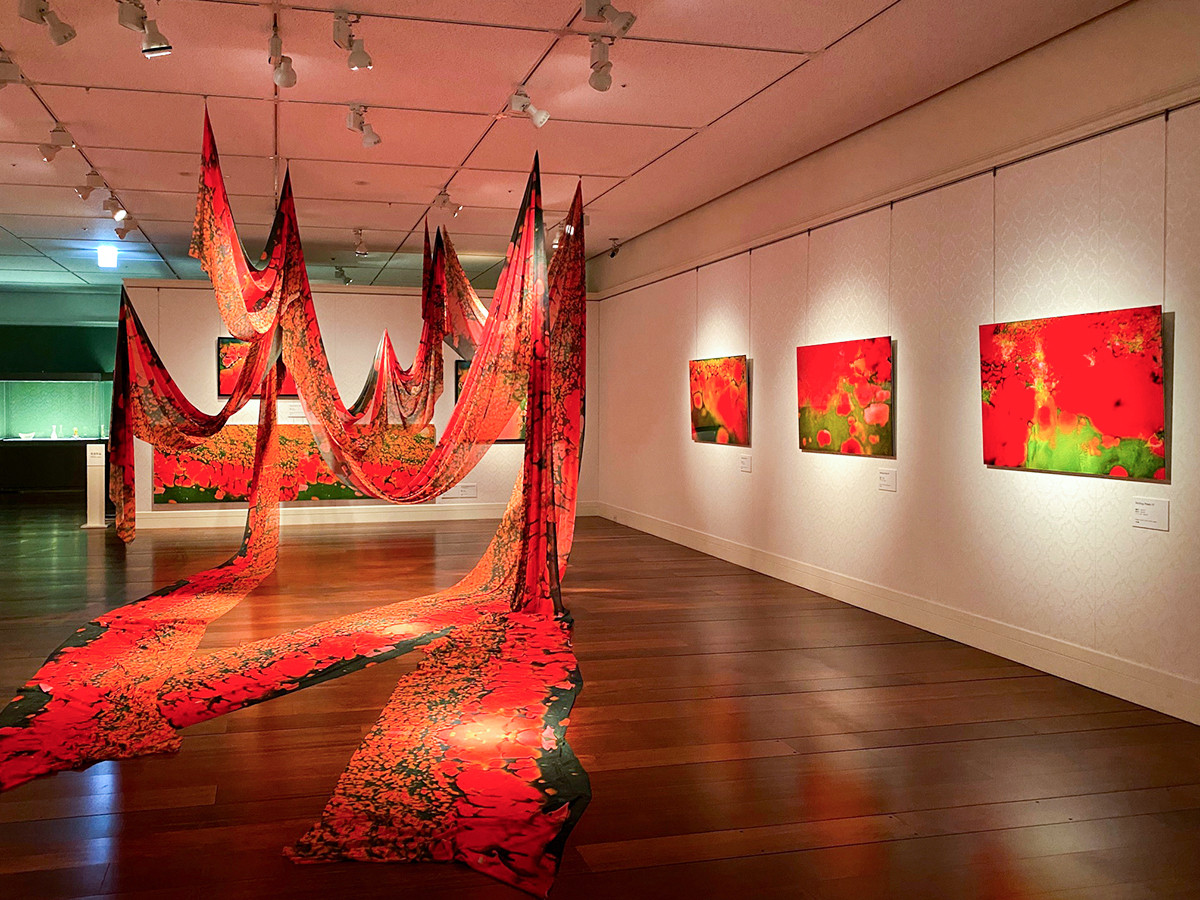 Photograph 記憶の花　藤原更 Sarah Fujiwara