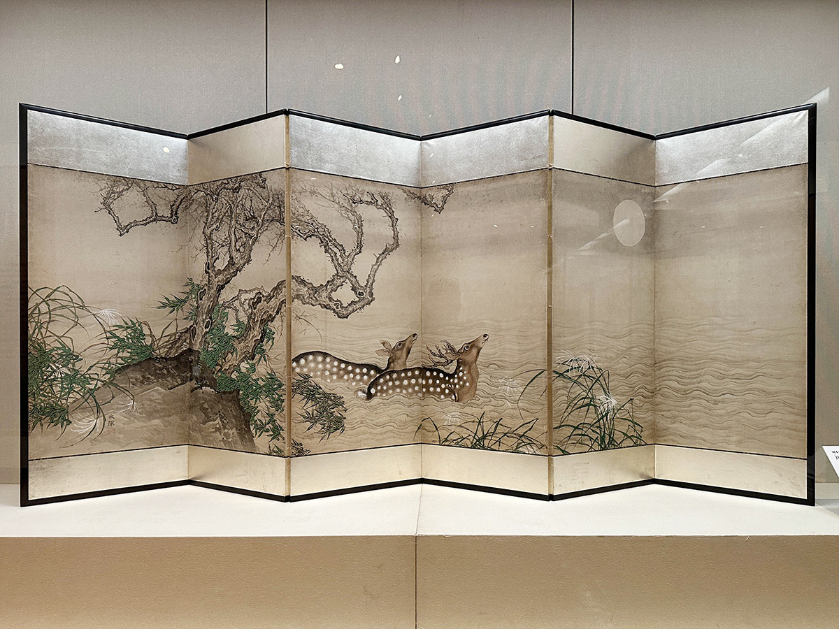 華麗な孔雀で江戸を魅了。ゆかりのコレクションで岡本秋暉の技を堪能