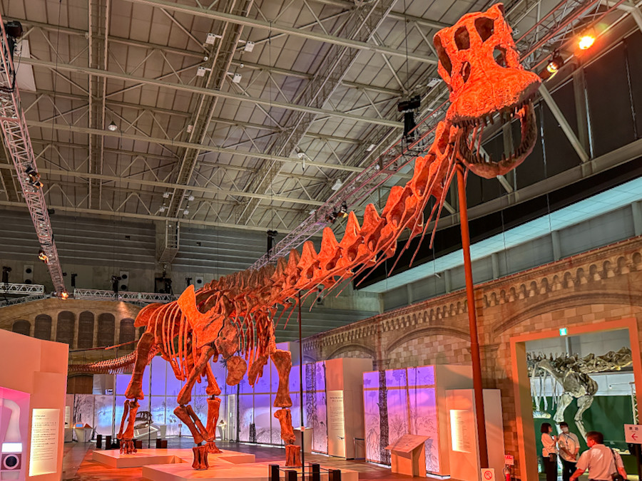 圧巻のパタゴティタンと巨大生物たち ― パシフィコ横浜「巨大恐竜展 2024」（レポート）