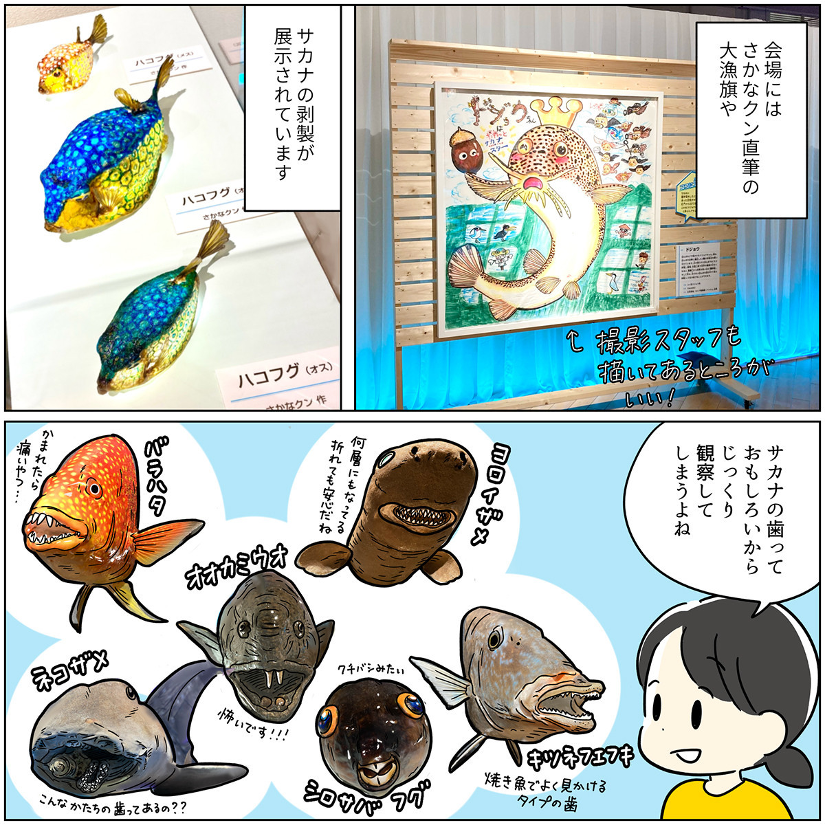 テレビ番組から飛び出した「ギョギョッとサカナ★スター展」（読者レポート）