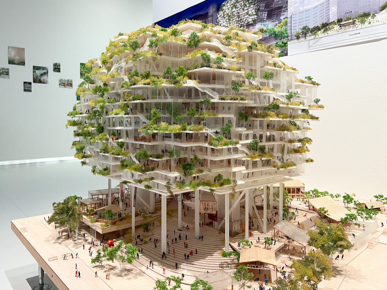 建築家・平田晃久の建築世界を展望 ― 練馬区立美術館 ニュース アイエム[インターネットミュージアム]