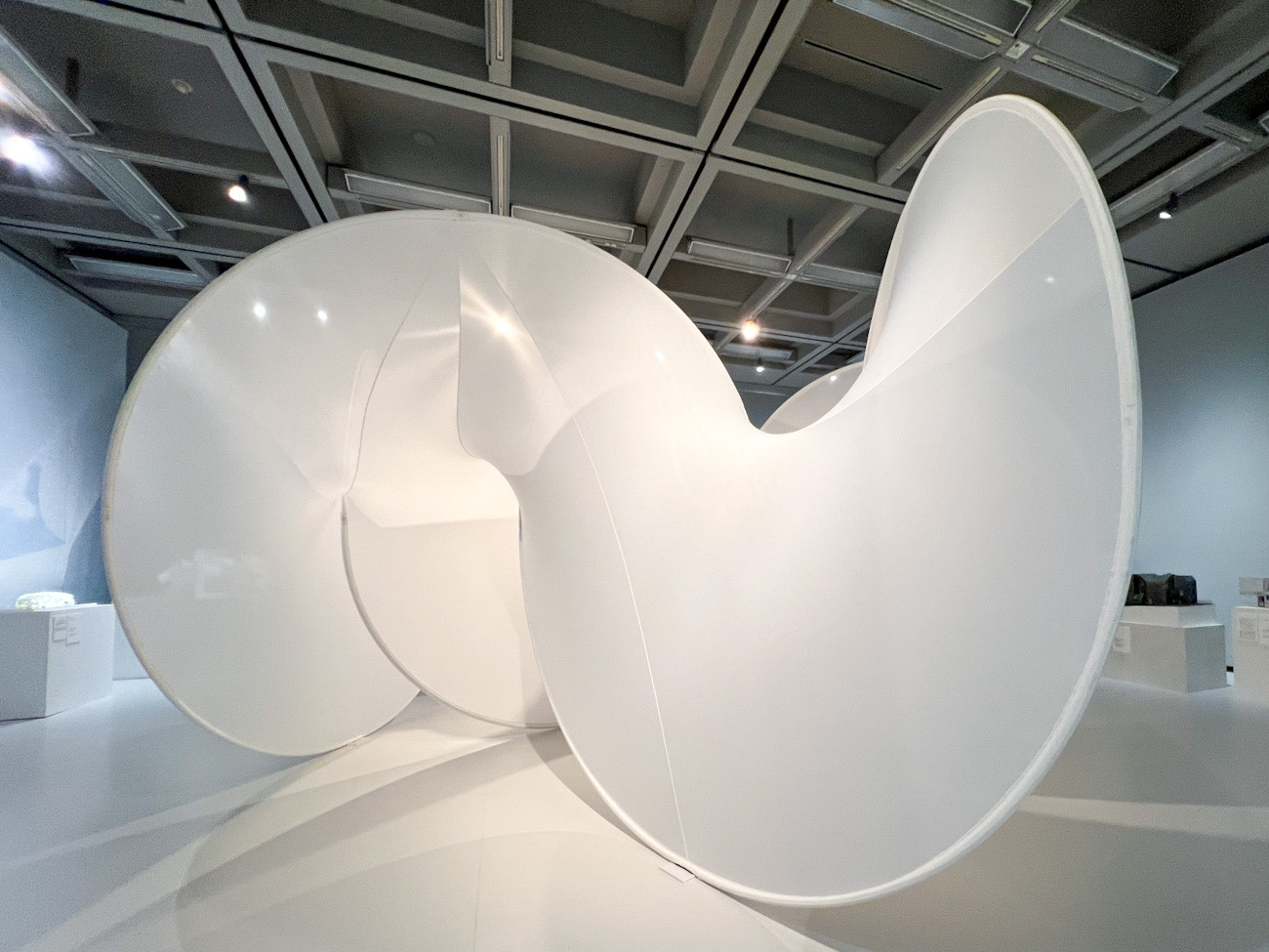 建築家・平田晃久の建築世界を展望 ― 練馬区立美術館 | ニュース