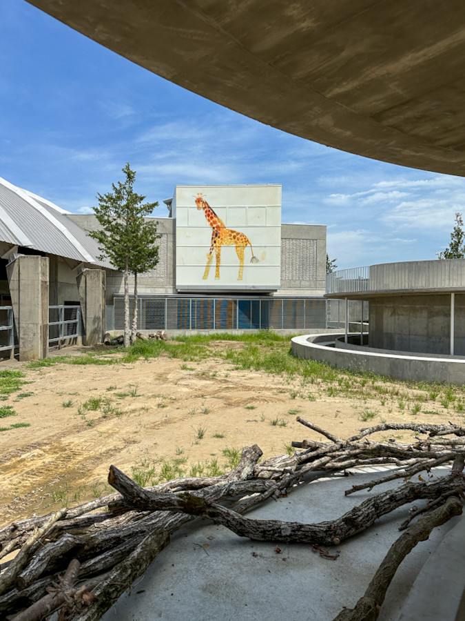 歩廊を廻りながら動物とふれあい、考える ― 「霞ケ浦 どうぶつとみんなのいえ」が誕生 ニュース アイエム[インターネットミュージアム]