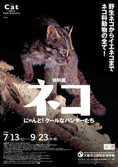 特別展「ネコ」 ～にゃんと！クールなハンターたち～ | 見どころ