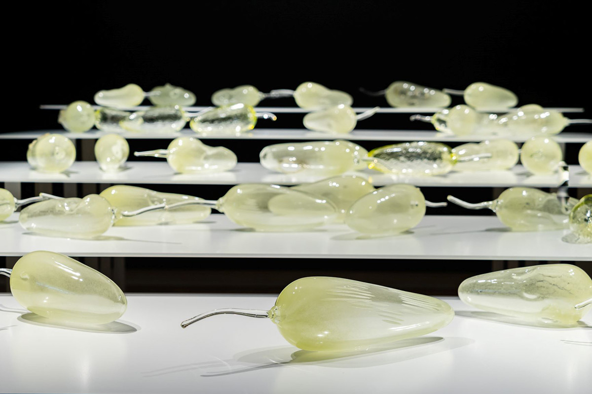 オーストラリア現代美術 彼女たちのアボリジナル・アート | 展覧会