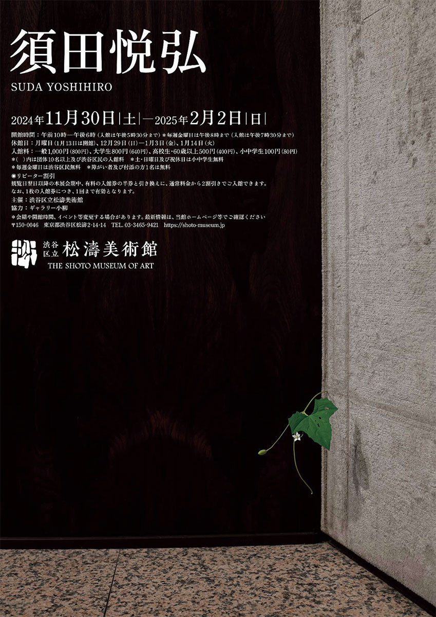 須田悦弘展 | 展覧会 | アイエム［インターネットミュージアム］