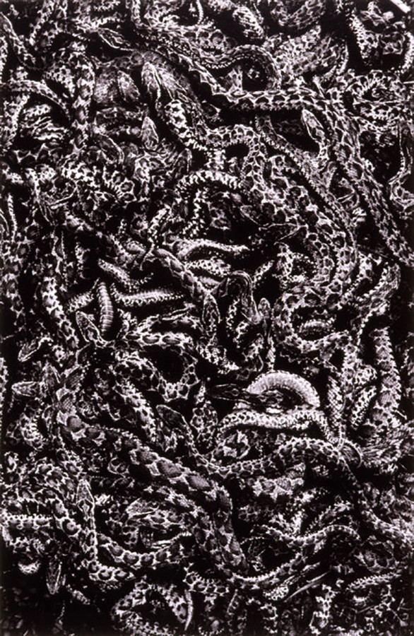 《INOSE Kou 1982-2000》