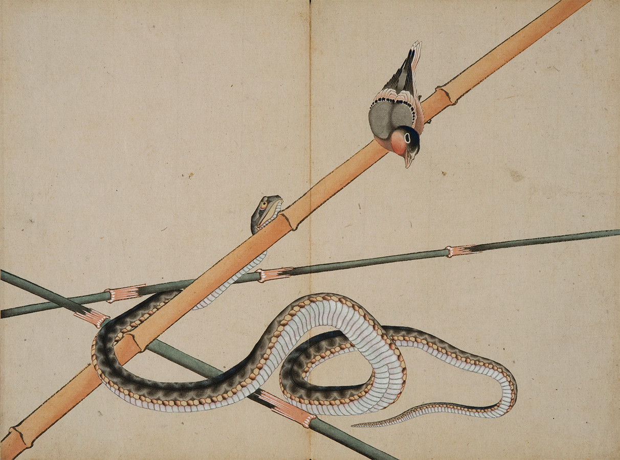 《肉筆画帖　蛇と小鳥》
