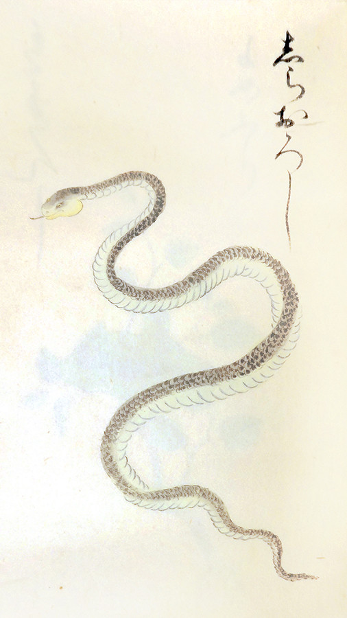 《『尾張国産物』第六冊》