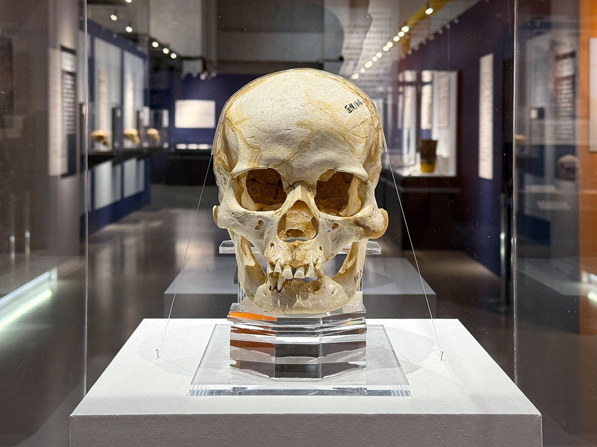 ＤＮＡで見えてきた、わたしたちのルーツ ― 「古代ＤＮＡ ―日本人のきた道―」（取材レポート）