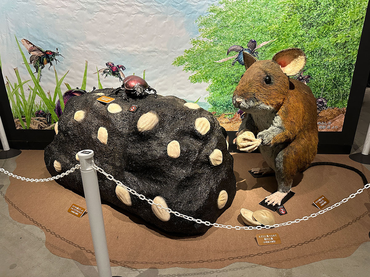 東京ドームシティ Gallery AaMO「うんち展 -No UNCHI,No LIFE-」会場