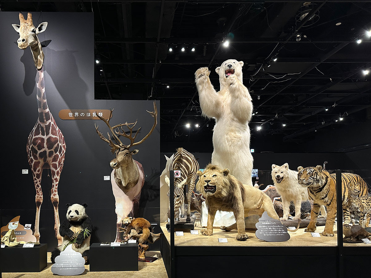 東京ドームシティ Gallery AaMO「うんち展 -No UNCHI,No LIFE-」会場