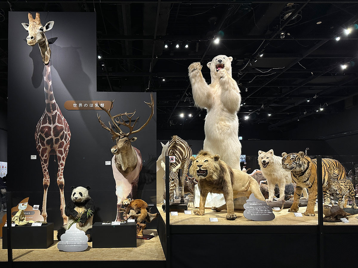 「うんち」がなければ生きられない ― 「うんち展 -No UNCHI,No LIFE-」（取材レポート）