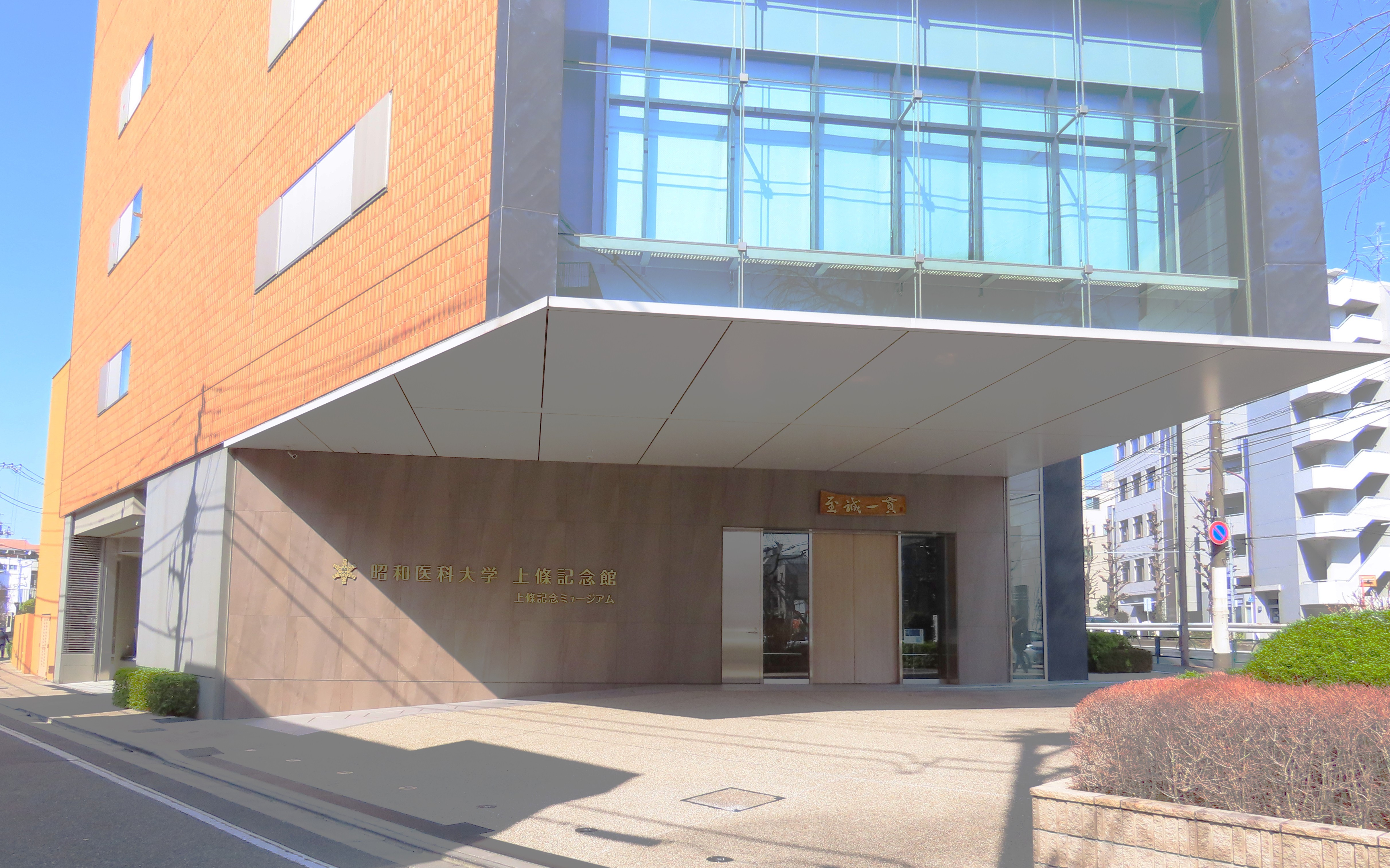 旧昭和医科大学の頃