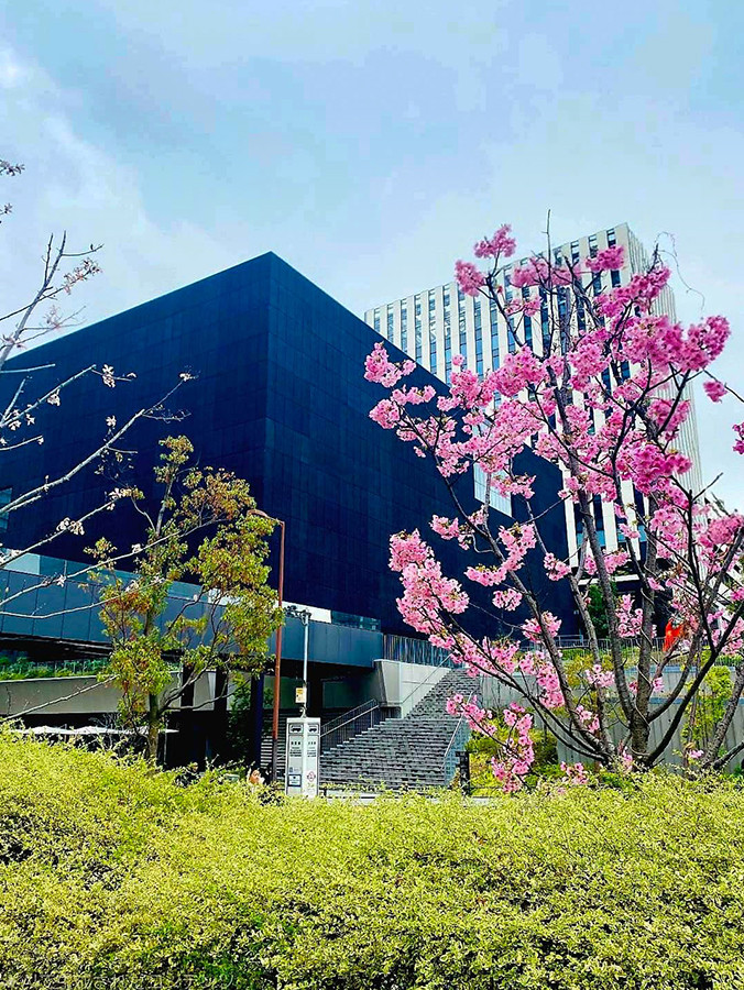 大阪中之島美術館