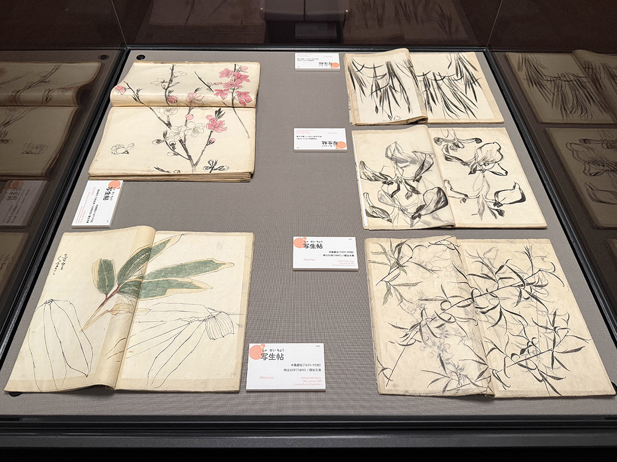 線の力で紡ぐ美の物語 ―  泉屋博古館東京「ライトアップ木島櫻谷Ⅱ―おうこくの線をさがしに」（取材レポート）