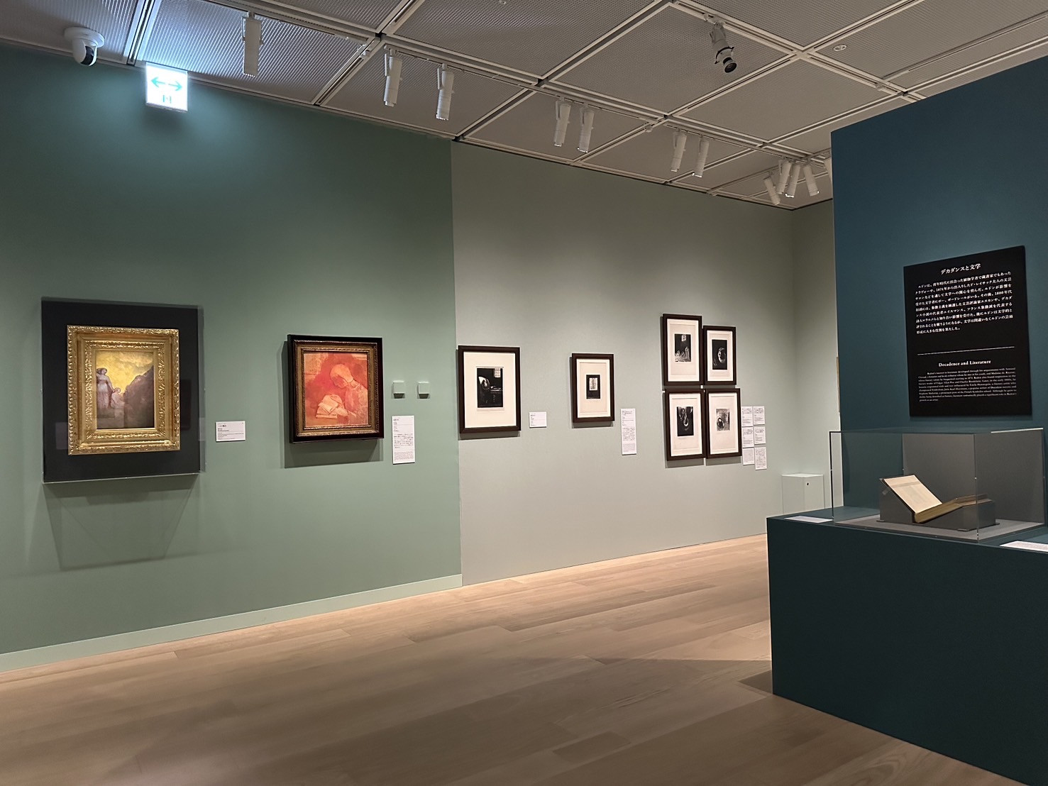 パナソニック汐留美術館「オディロン・ルドン ―光の夢、影の輝き」会場