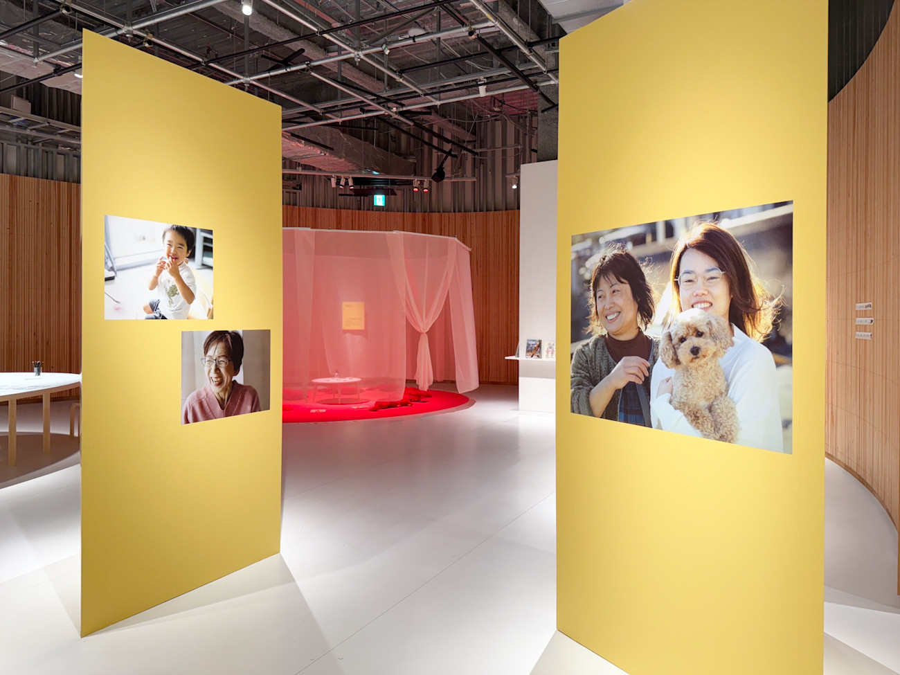 PLAY! MUSEUM「どうぶつ展　わたしたちはだれ？どこへむかうの？〜WHO ARE WE? WHERE ARE WE GOING?」