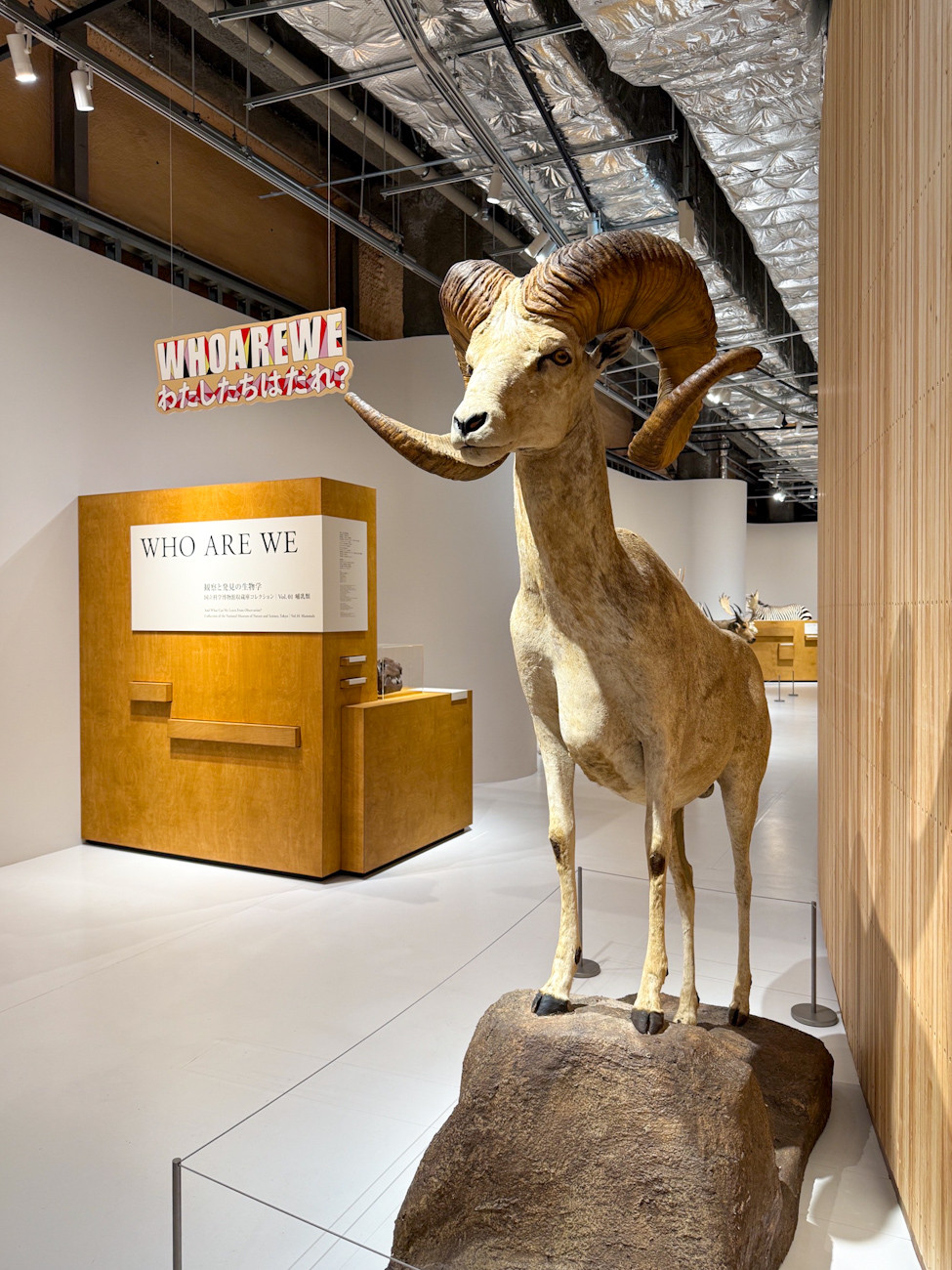 PLAY! MUSEUM「どうぶつ展　わたしたちはだれ？どこへむかうの？〜WHO ARE WE? WHERE ARE WE GOING?」