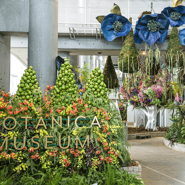 BOTANICA MUSEUM