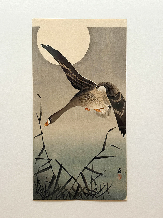 太田記念美術館「没後80年 小原古邨 ― 鳥たちの楽園」会場より 小原古邨《月に雁》個人蔵