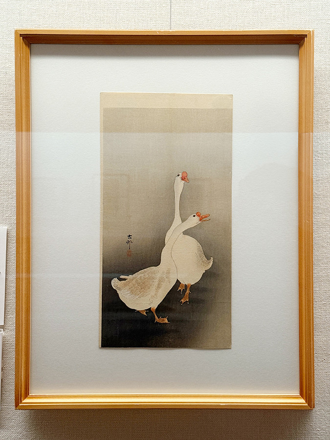太田記念美術館「没後80年 小原古邨 ― 鳥たちの楽園」会場より　小原古邨《鵞鳥》個人蔵