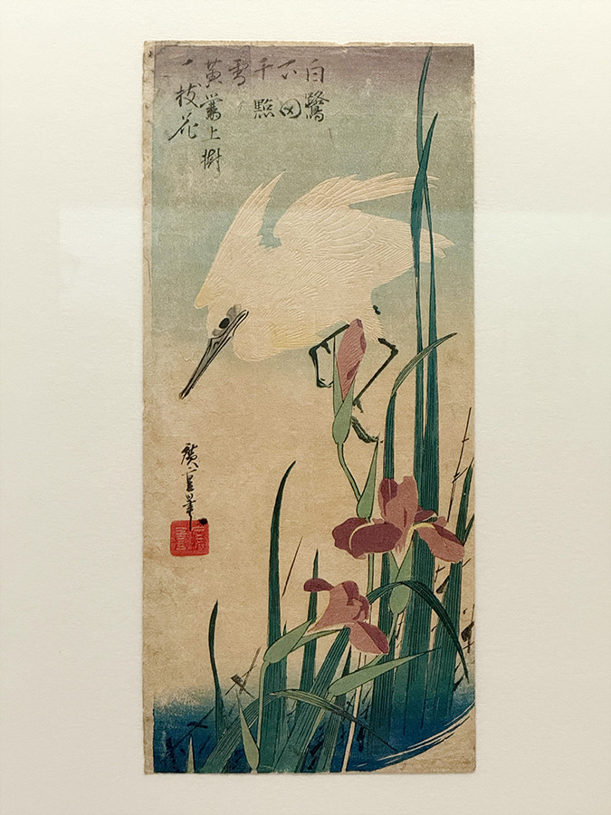 太田記念美術館「没後80年 小原古邨 ― 鳥たちの楽園」会場より 歌川広重《燕子花に小鷺》天保3~6年(1832~35)太田記念美術館蔵