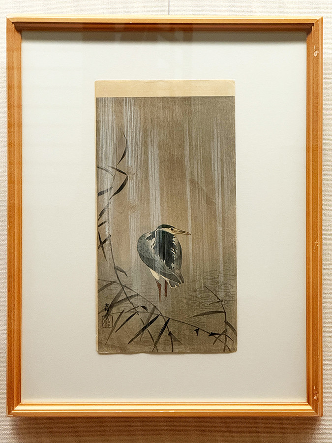 太田記念美術館「没後80年 小原古邨 ― 鳥たちの楽園」会場より 小原古邨《雨中の五位鷺》個人蔵