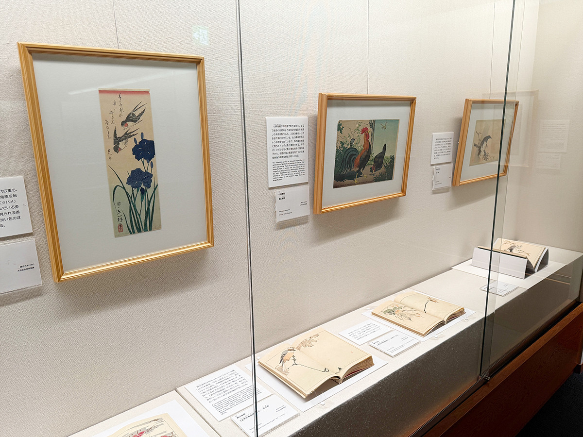 原宿でも「鳥展」？ ― 太田記念美術館「没後80年 小原古邨 」