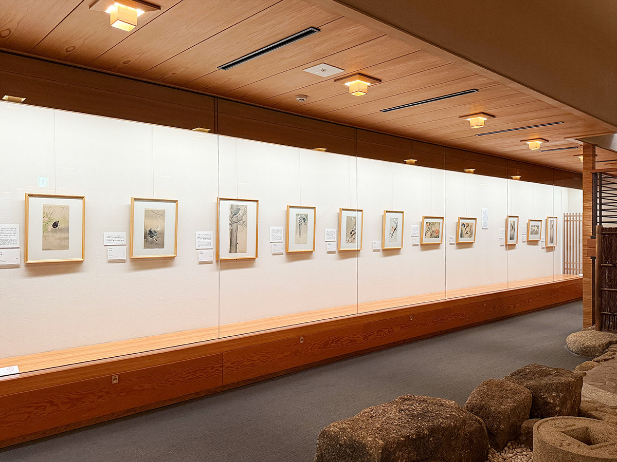 太田記念美術館「没後80年 小原古邨 ― 鳥たちの楽園」会場