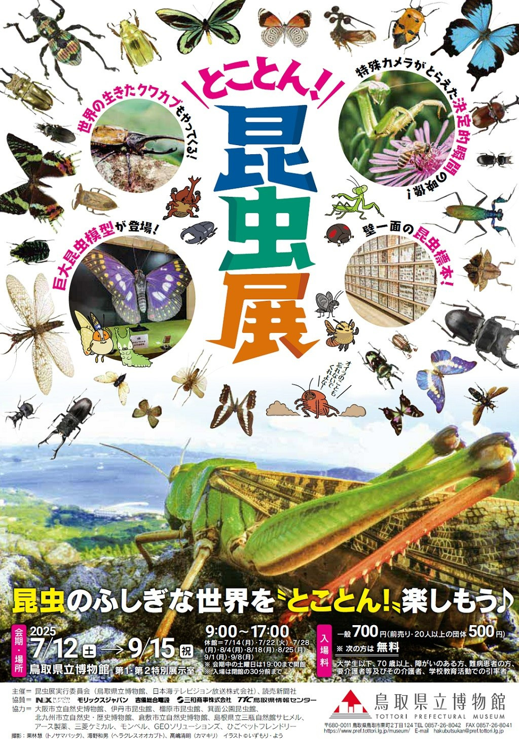 鳥取県立博物館企画展 とことん！昆虫展 | 見どころ・チケット・口コミ