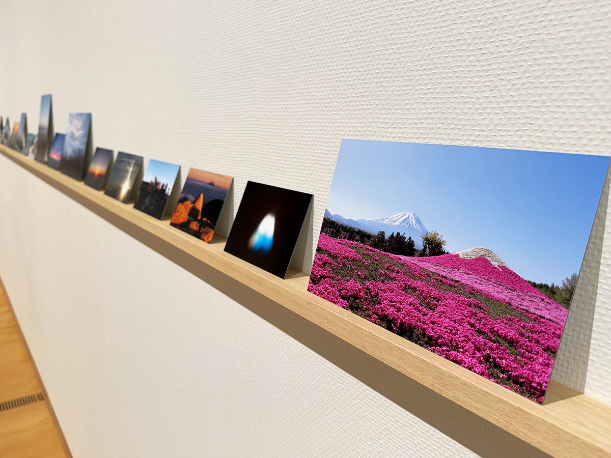 ポーラ美術館「ゴッホ・インパクト ― 生成する情熱」会場より　フィオナ・タン《アセント》2016年　ベルナール・ビュフェ美術館