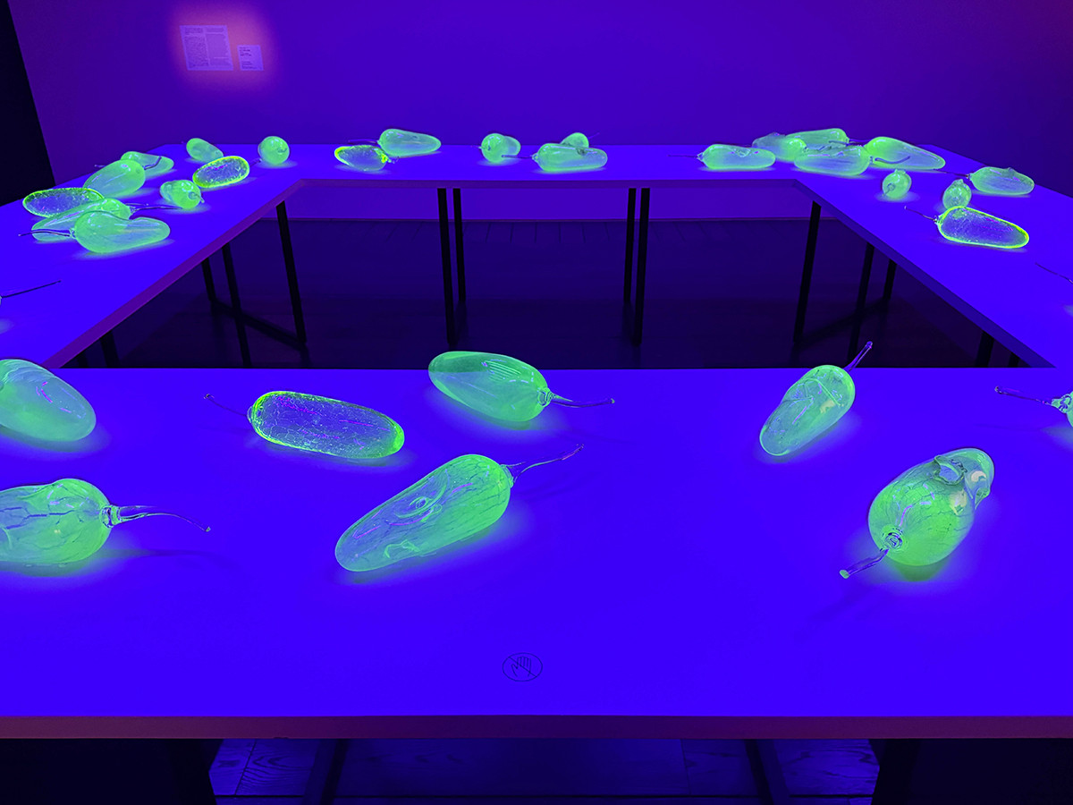 その色は、祈りか、抗議か ― 「彼女たちのアボリジナル・アート